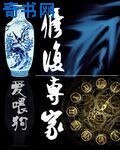 修复专家