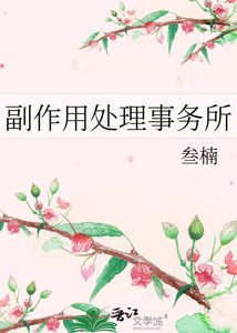 副作用处理事务所