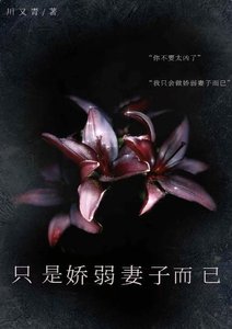 只是过弱妻子而已