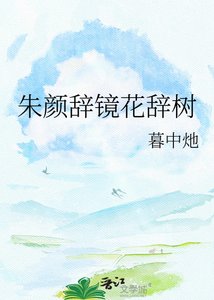 朱颜辞镜花辞树