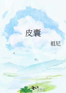 皮囊